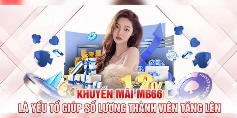 Ưu đãi độc quyền dành cho sảnh xổ số